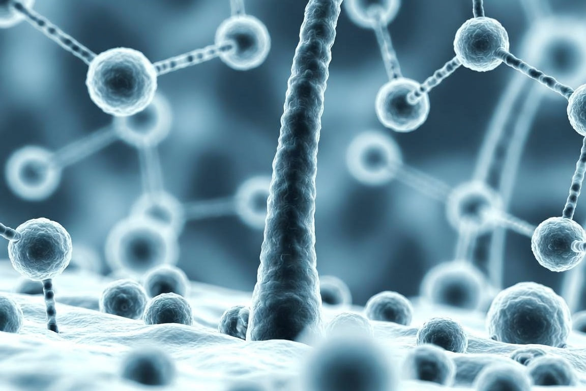 Balancing Protein and Moisture for Low-Porosity Hair During Autumn Humidity Decline